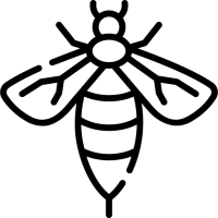 guêpe guêpe